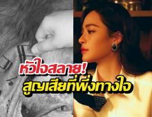 แห่กอดหลิงหลิง หลังเจอความสูญเสียครั้งใหญ่