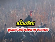 ดร.ธรณ์ เปิดเบื้องลึก ฝูงแร้ง บินว่อนเหนือชายแดนไทย-กัมพูชา