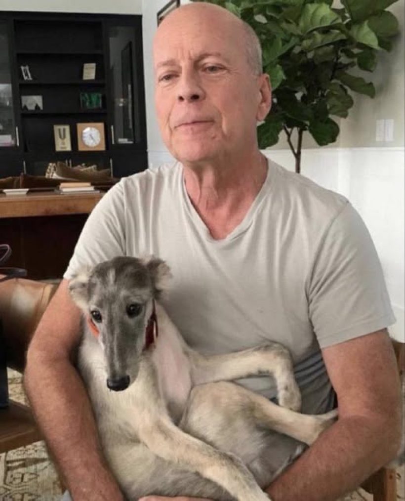เศร้า เมียbruce willis ขอวอนอย่ารบกวนสามี ตอนนี้ พูด-อ่าน-เดิน ไม่ได้แล้ว!