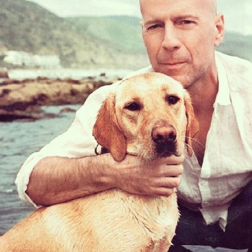 เศร้า เมียbruce willis ขอวอนอย่ารบกวนสามี ตอนนี้ พูด-อ่าน-เดิน ไม่ได้แล้ว!