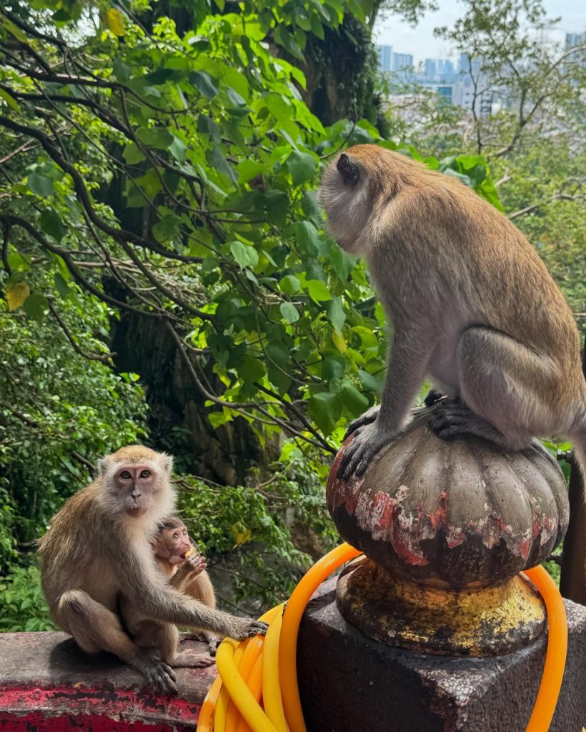 นักร้องสาวระดับโลก โดนไทยตก ทัวร์จัดเต็ม!กิน-เที่ยว สุดมันส์!