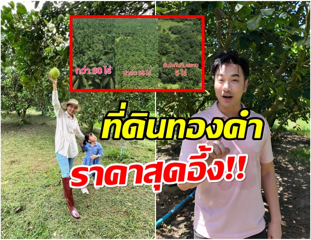 เจมส์ เรืองศักดิ์ ผันตัวเป็นเจ้าพ่ออสังหา! ประกาศขายที่ดินทองคำ 60 ไร่