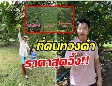 เจมส์ เรืองศักดิ์ ผันตัวเป็นเจ้าพ่ออสังหา! ประกาศขายที่ดินทองคำ 60 ไร่