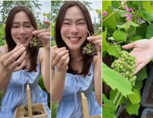 จอย รินลณี เปิดไร่องุ่นกลางกรุงฯ ปลูก 3 ปีได้กินเเล้ว