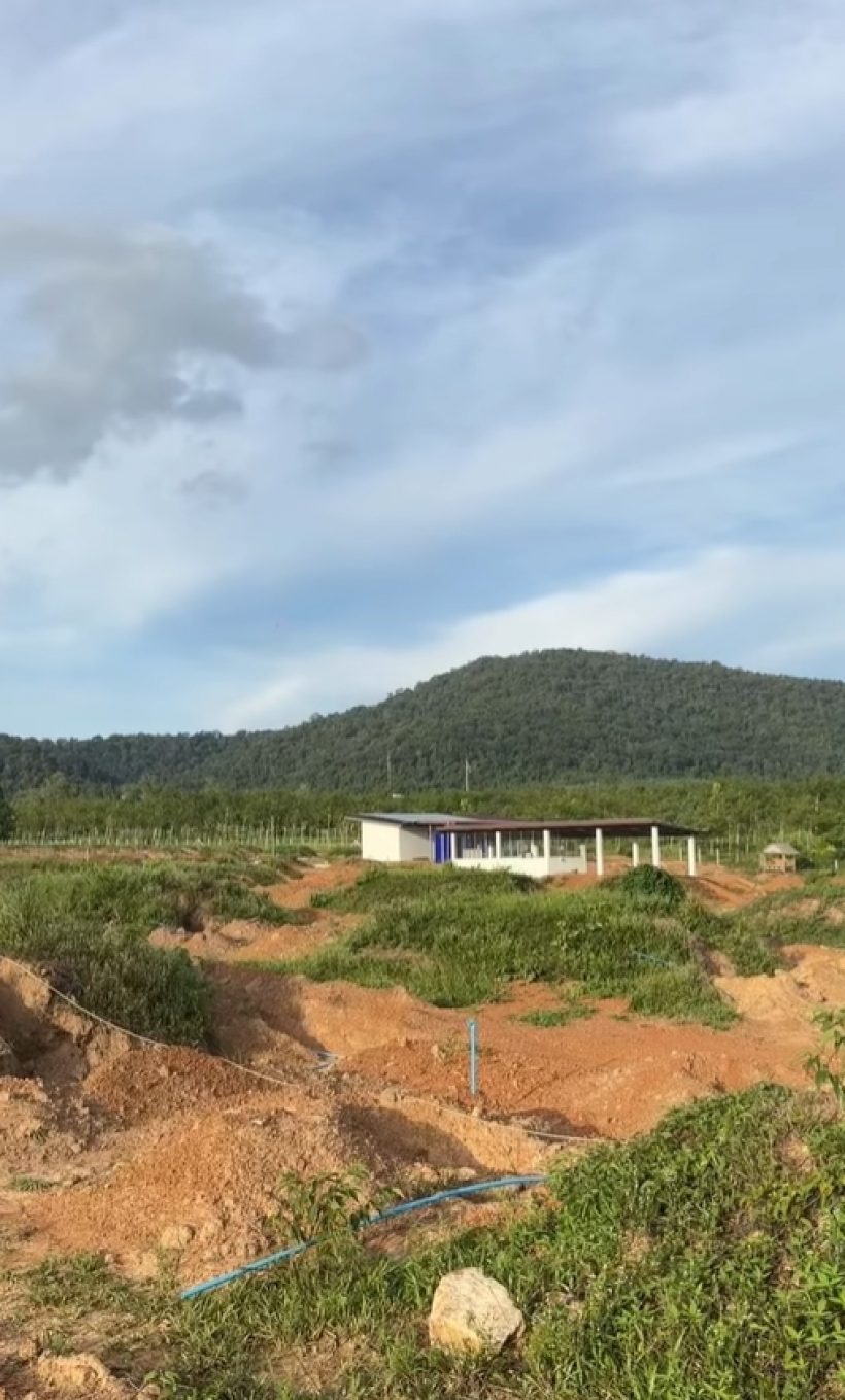 พระเอกดังขึ้นแท่นเศรษฐี ทุ่มทุนขยายอาณาจักร 200 ไร่