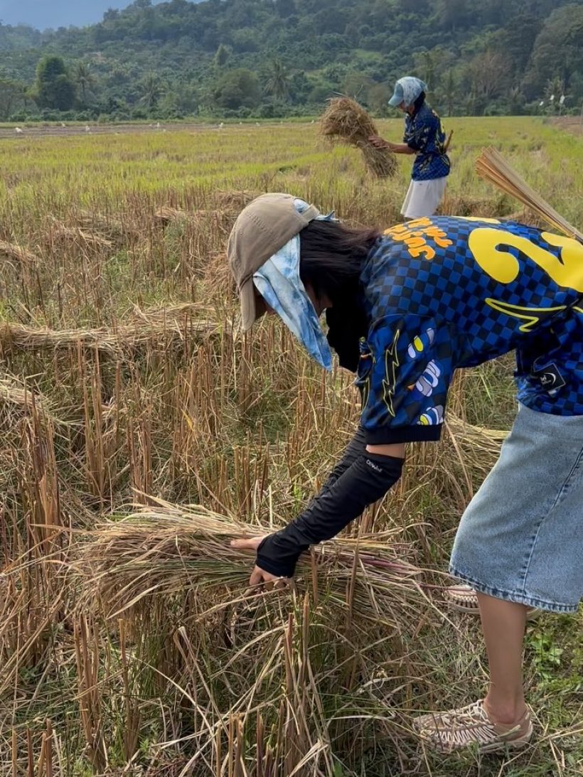 คู่รักบันเทิงเฟดงานในวงการ ลุยท้องนาเกี่ยวข้าวไม่ห่วงหล่อสวย