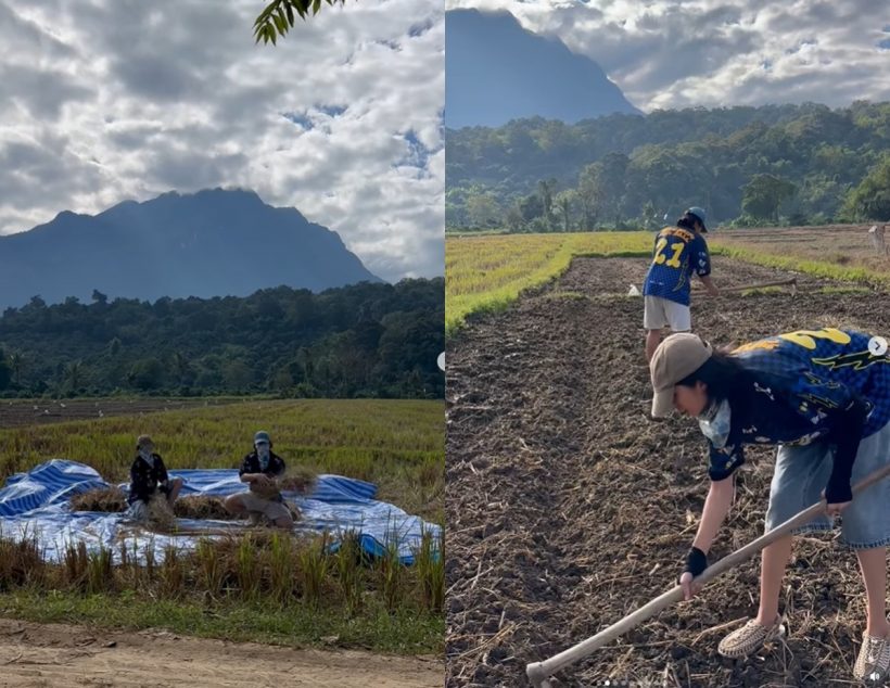 คู่รักบันเทิงเฟดงานในวงการ ลุยท้องนาเกี่ยวข้าวไม่ห่วงหล่อสวย