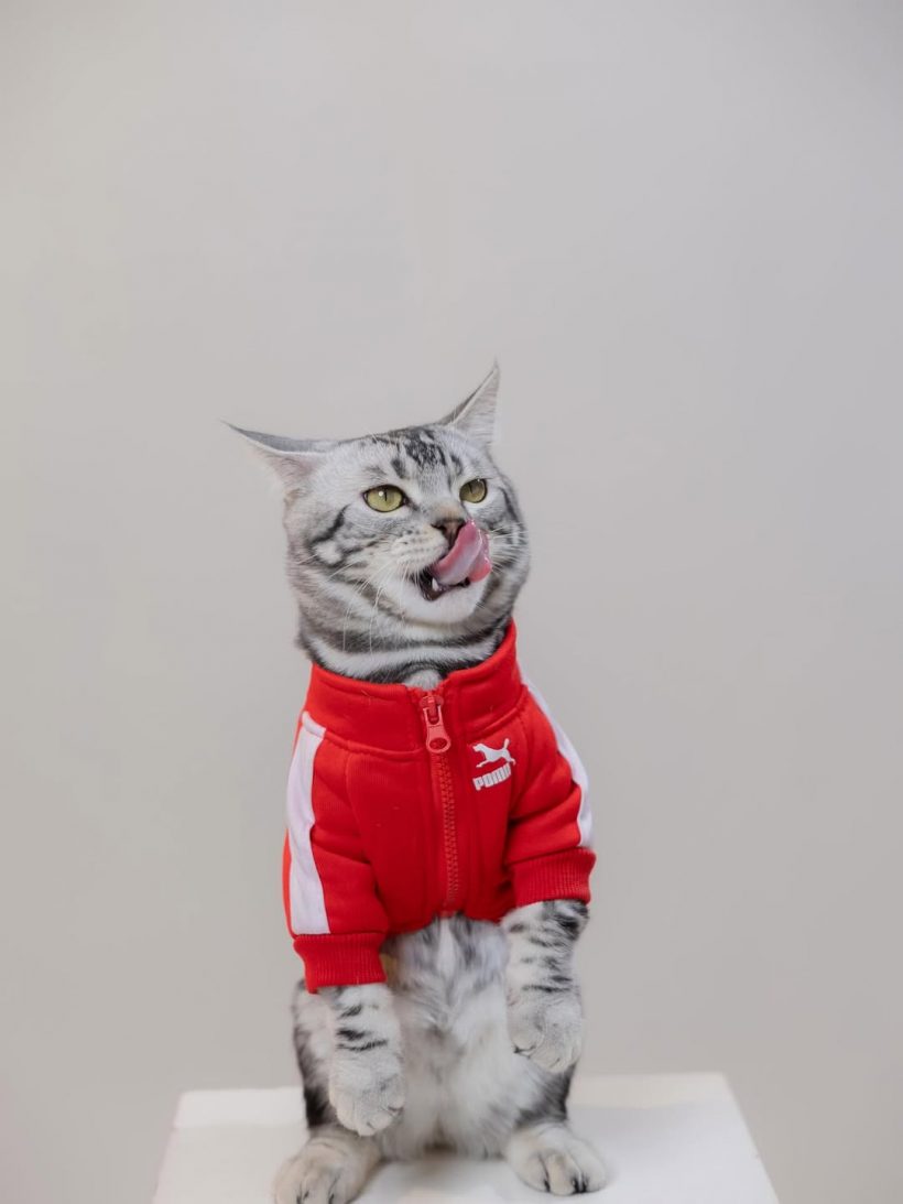 โฟกัส จีระกุล โพสต์ภาพเปิดตัวลูกชาย ทำแฟนๆคอมเมนต์สนั่น