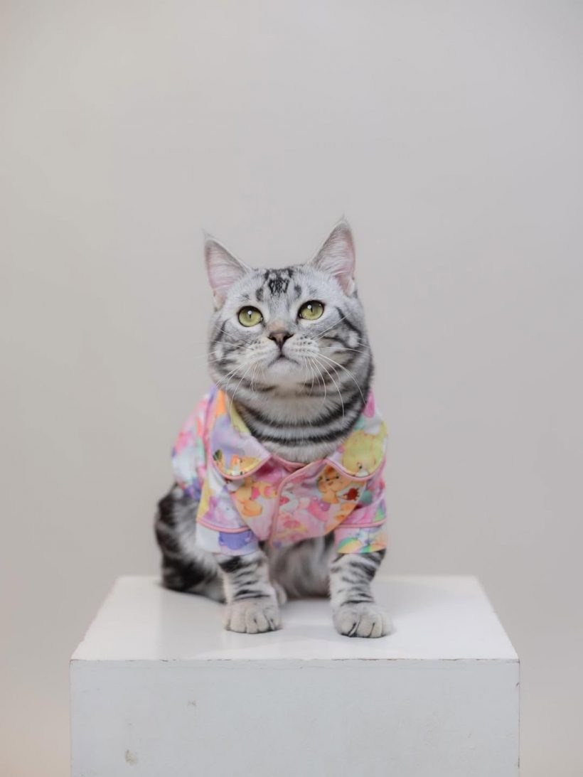 โฟกัส จีระกุล โพสต์ภาพเปิดตัวลูกชาย ทำแฟนๆคอมเมนต์สนั่น