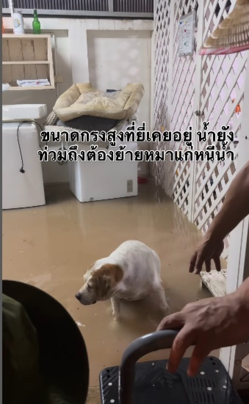 ท็อป ดารณีนุช โอดชีวิตคนกรุงเทพฯ น้ำทะลักท่วมบ้าน
