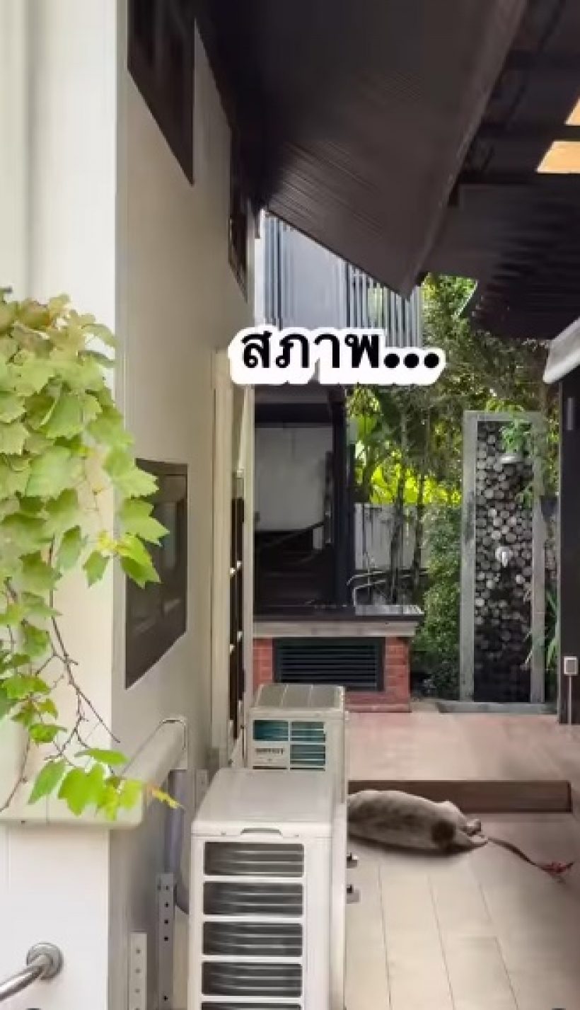 ท็อป ดารณีนุช โอดชีวิตคนกรุงเทพฯ น้ำทะลักท่วมบ้าน