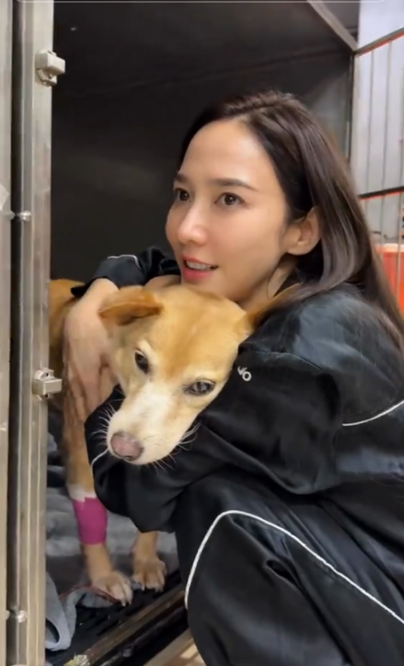 ใจสลาย! อั้มโพสต์คลิปล่าสุด แฟนคลับแห่ส่งกำลังใจน้องถั่ว