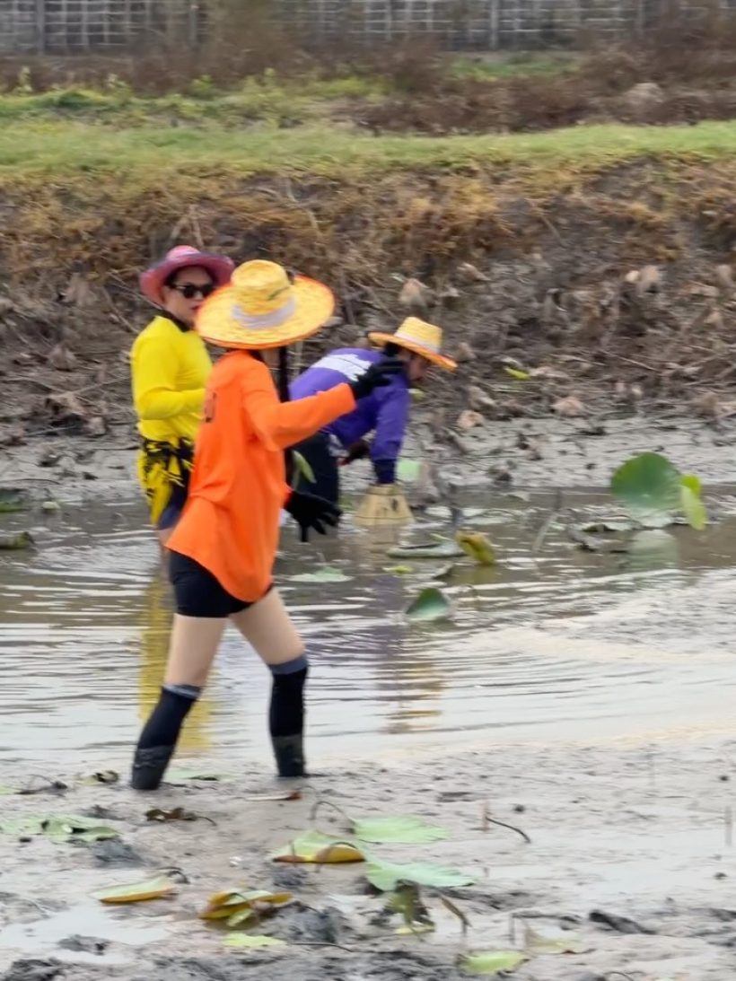 ดาราสาวดังใส่เสื้อปุ๋ย ลุยโคลน แต่ยังสวยออร่า ชุดส่งคนจริงๆ